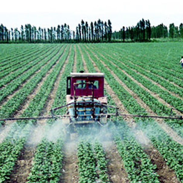Pesticides